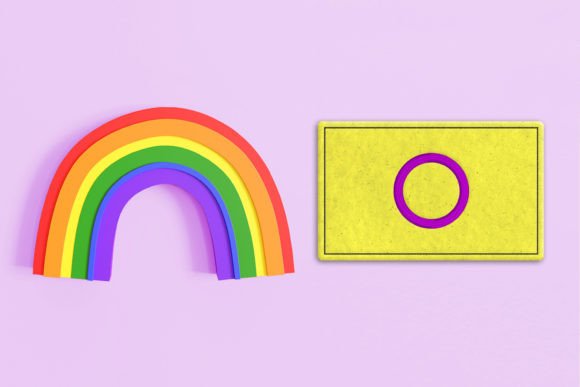 Reviewing the Intersex Pride Flag ITH Feltie Applique